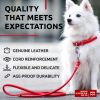 Rolled Leather Dog Leash 4Ft x 0.3 in for Small Medium Dogs Heavy Duty Leather Puppy Leash for Outdoor Walking Running Training Strong Dog Leashes for