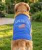 America Dog Shirt
