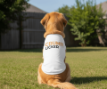 Crumb Licker Dog Shirt