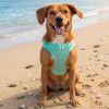 American River Choke Free Dog Harness Polka Dot Collection