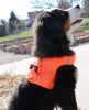 American River Solid Ultra Choke Free Dog Harness