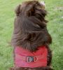 American River Solid Ultra Choke Free Dog Harness