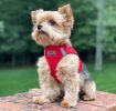 American River Solid Ultra Choke Free Dog Harness