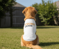 Crumb Licker Dog Shirt