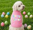 Hoppy Easter Dog Shirt
