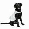 Mint Green Daisy Dog Dress with Matching Leash