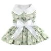 Mint Green Daisy Dog Dress with Matching Leash