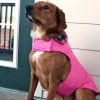 Reversible Fleece Lined Puffer Dog Coat