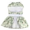 Mint Green Daisy Dog Dress with Matching Leash