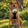 American River Choke Free Dog Harness Polka Dot Collection