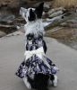 Purple Twilight Hawaiian Dog Dress with Matching Leash